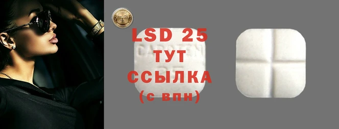 сатива Алзамай