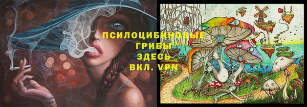 МДМА Алексеевка