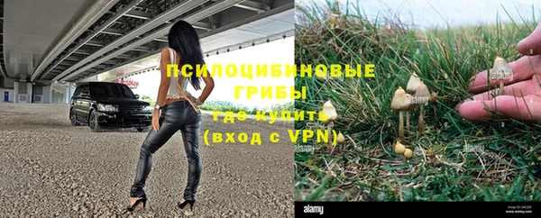 гашик Нефтегорск