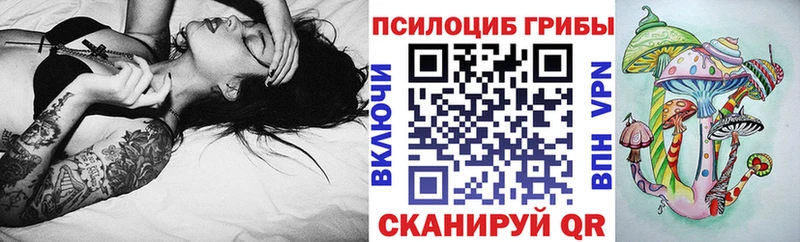 купить   Петровск-Забайкальский  Галлюциногенные грибы Psilocybe 